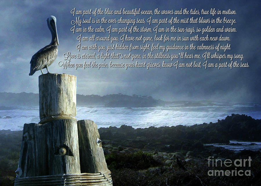 I Am a Part of the Sea Poem  Photograph by Stephanie Laird