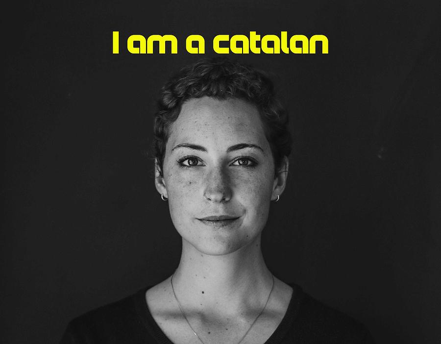 I am catalan 2a Painting by Celestial Images