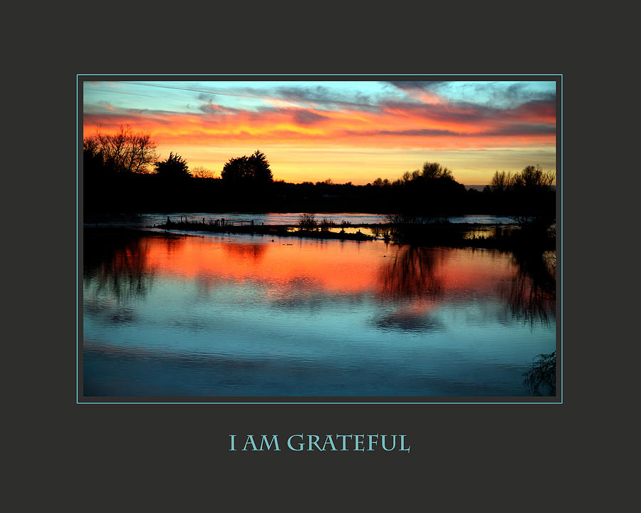 I Am Grateful Photograph by Donna Corless