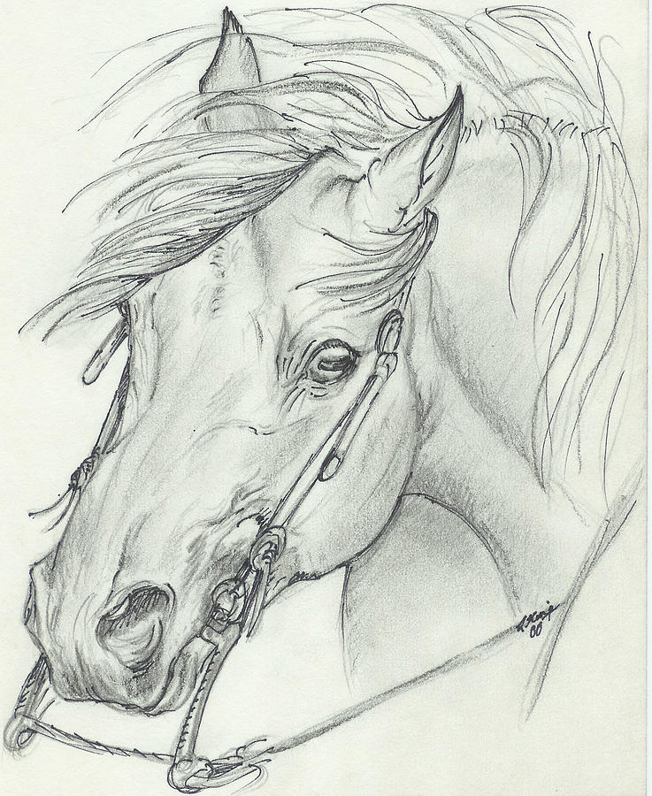 Pencil Drawing - I am ready by Lilly King Pencil Drawing - I am ready by Lilly King