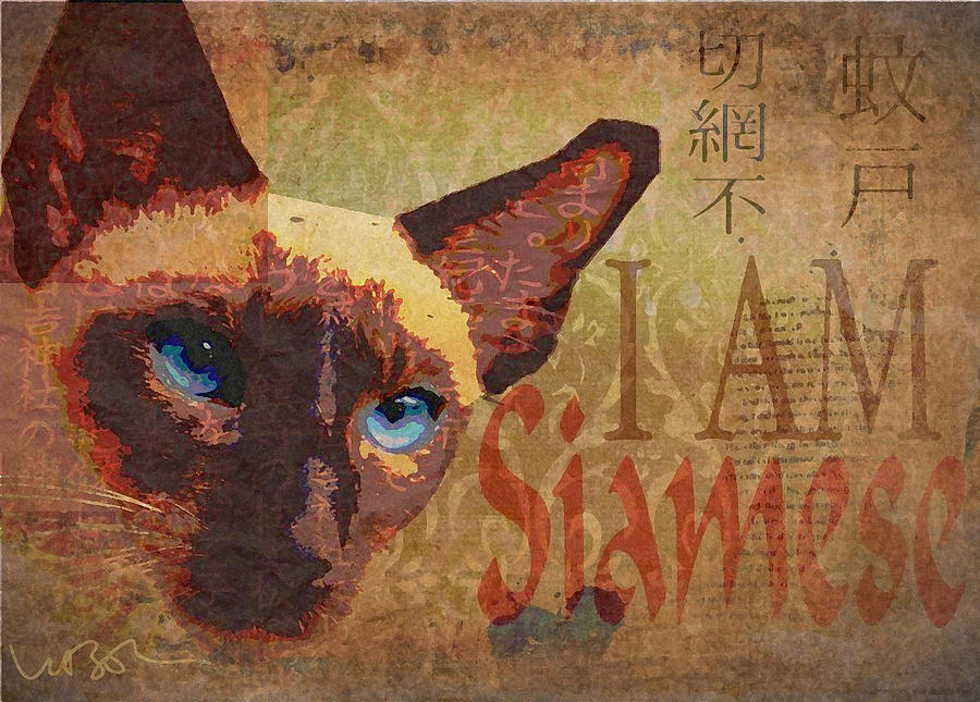 Oriental Cat Digital Art - I Am Siamese by Wendy Presseisen