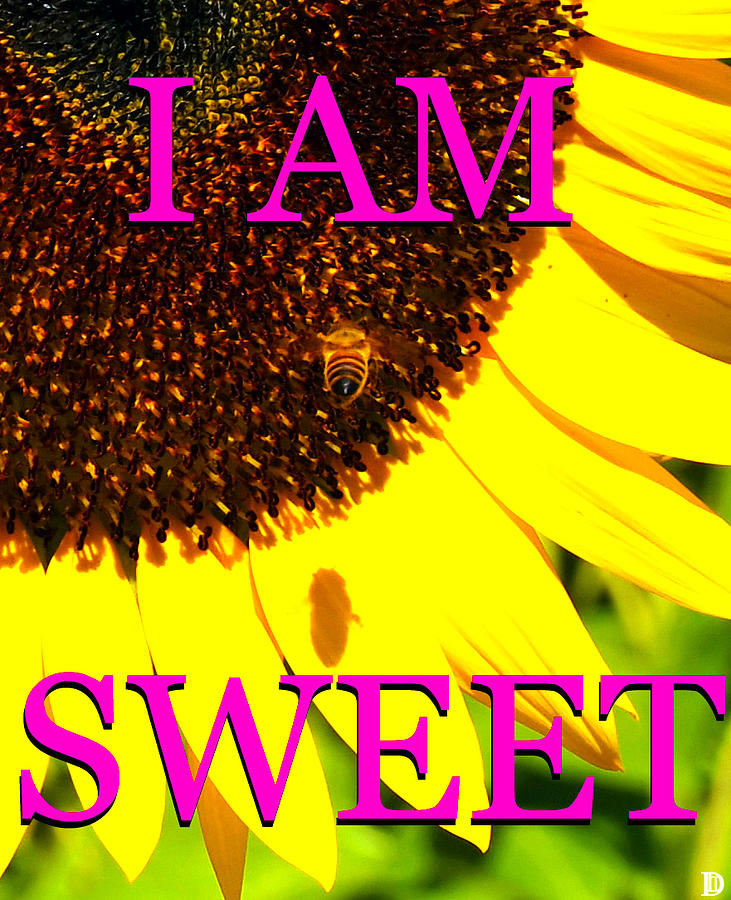 I am Sweet sunflower bee Photograph by David Lee Thompson