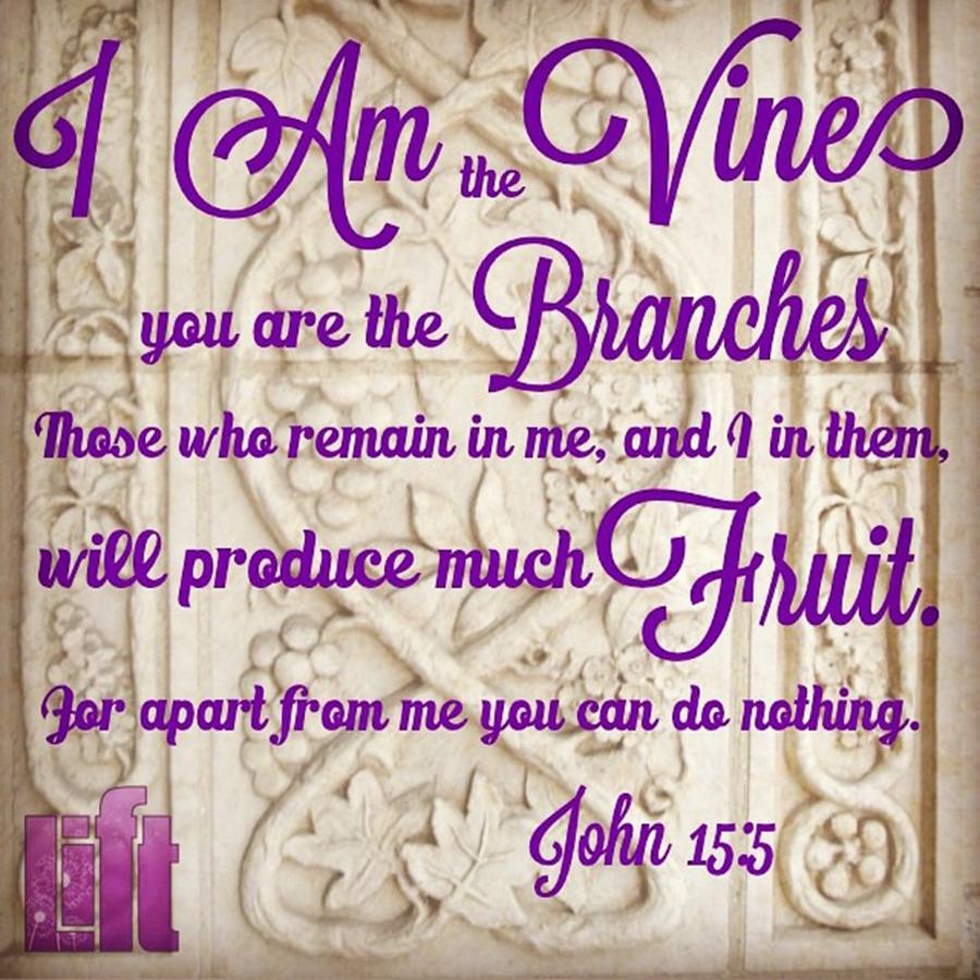 Jesus Christ Photograph - “i Am The True Grapevine, And My by LIFT Womens Ministry designs --by Julie Hurttgam