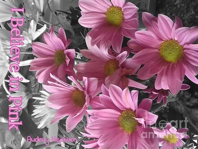 I Believe in Pink Gerberas Photograph by Joan-Violet Stretch