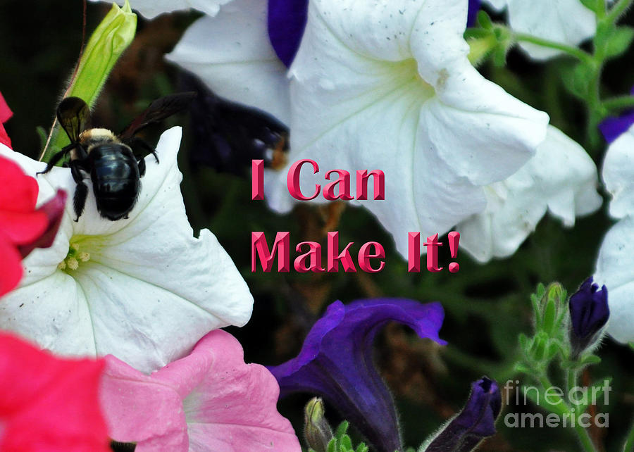 I Can Make It  Photograph by Lydia Holly