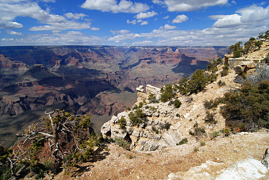 I Can See for Miles and Miles - Grand Canyon Photograph by Larry Ricker