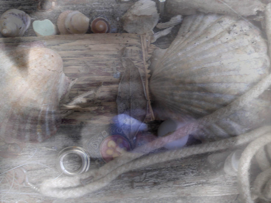 Eye Photograph - I Can See You by Angela Ven Boxtel Eye Photograph - I Can See You by Angela Ven Boxtel