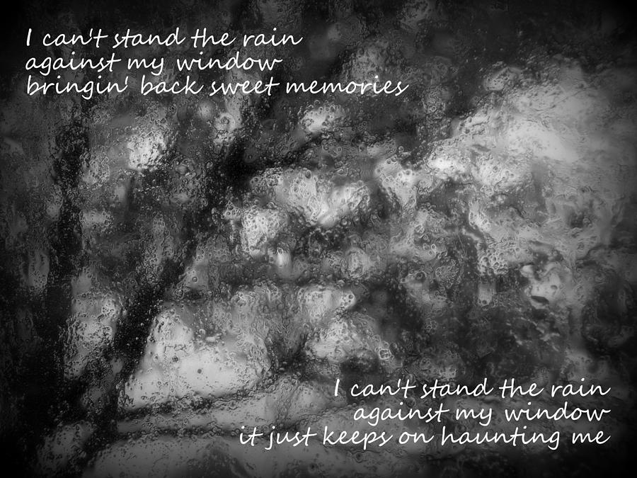 I Cant Stand The Rain Photograph by Guy Pettingell