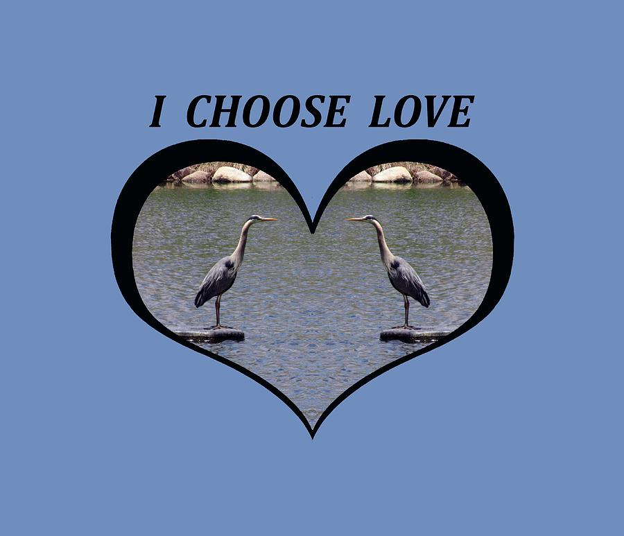 I Choose Love With a Heart Framing Blue Herons on a Pond Digital Art by Julia L Wright
