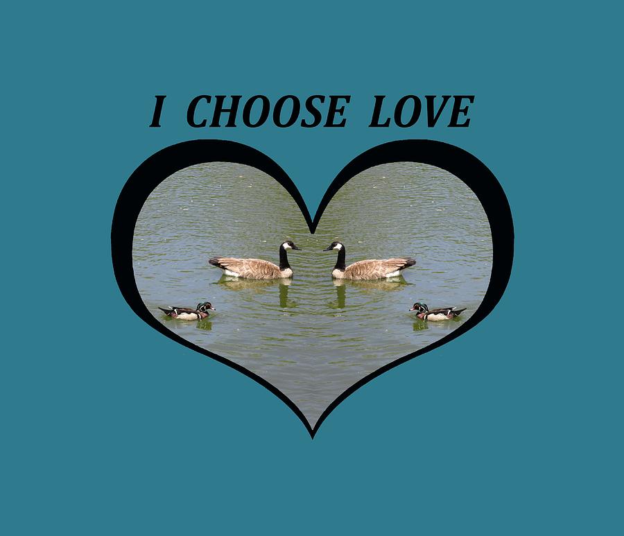 I Choose Love with a Spoonbill Duck and Geese on a pond in a Heart Digital Art by Julia L Wright
