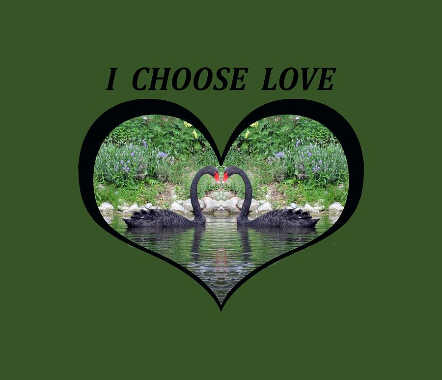 I Chose Love With Black Swans Forming a Heart Digital Art by Julia L Wright