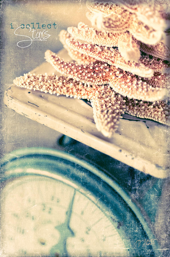 Starfish Photograph - I Collect Stars by Joy Gerow Starfish Photograph - I Collect Stars by Joy Gerow