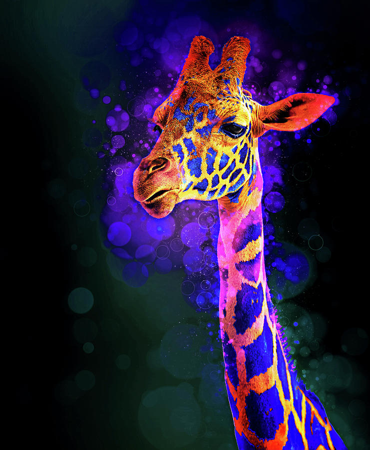 I Dreamt a Giraffe Photograph by James Sage