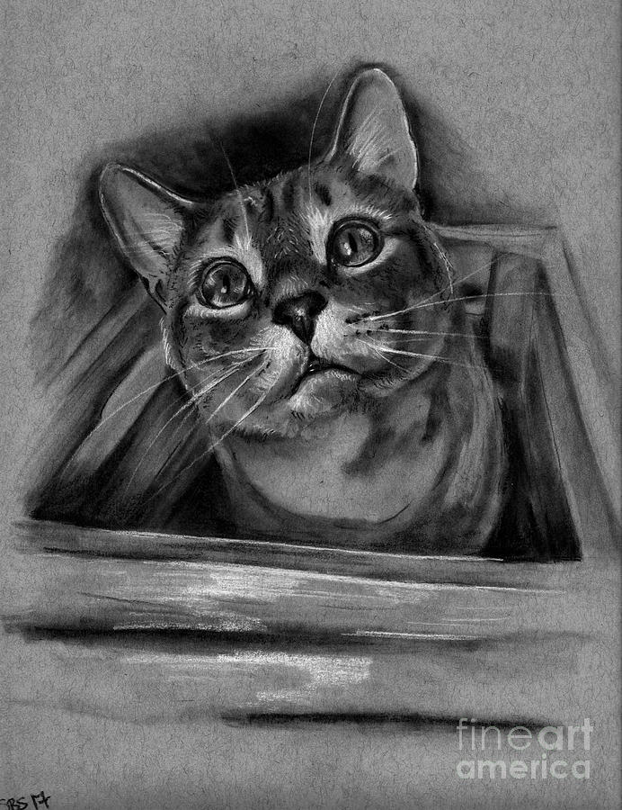 I Fits I Sits Drawing by Samantha Strong