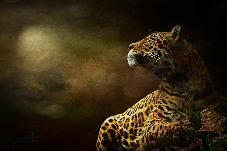 Leopard Digital Art - I Have a Dream by Sandy Oman
