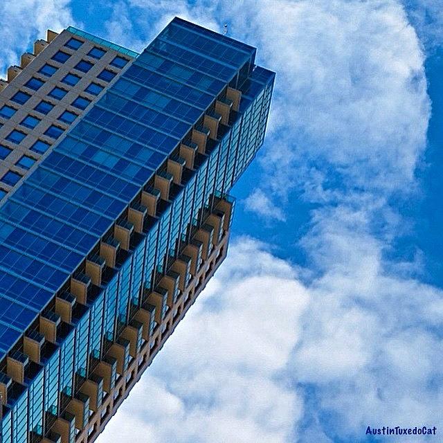 Skyscraper Photograph - I Have The #tuesday #blues. #bluesky by Austin Tuxedo Cat