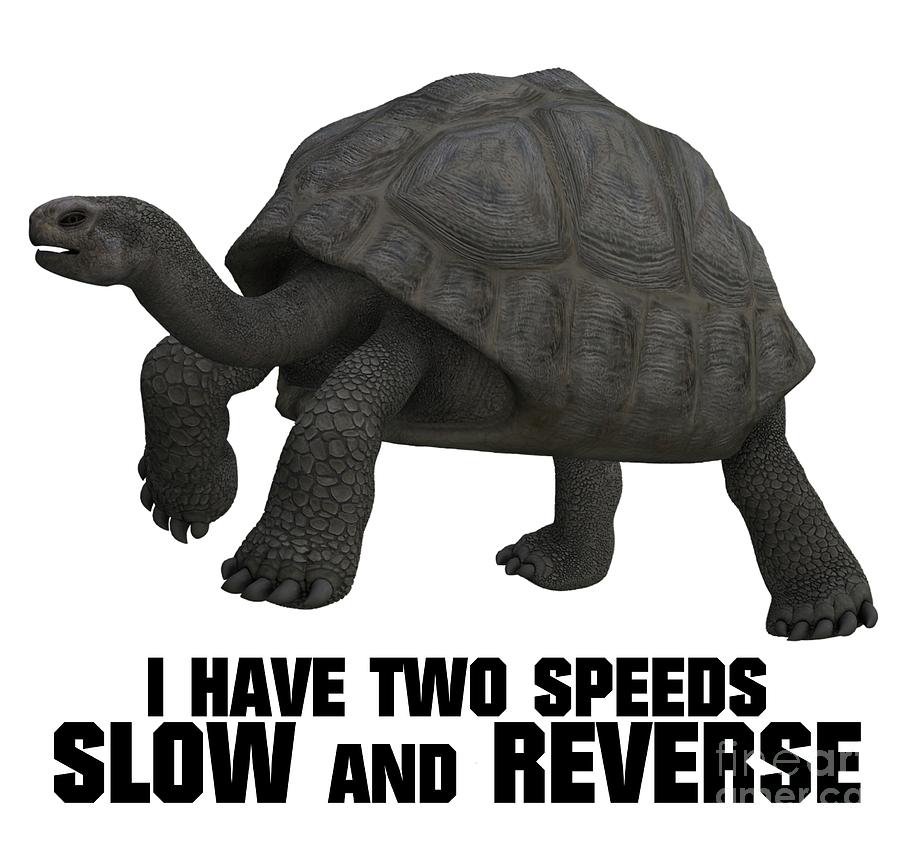 I Have Two Speeds, Slow And Reverse Digital Art