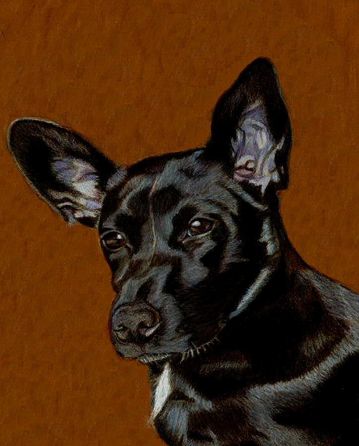 Dog Painting - I Hear Ya - Dog Painting by Patricia Barmatz Dog Painting - I Hear Ya - Dog Painting by Patricia Barmatz
