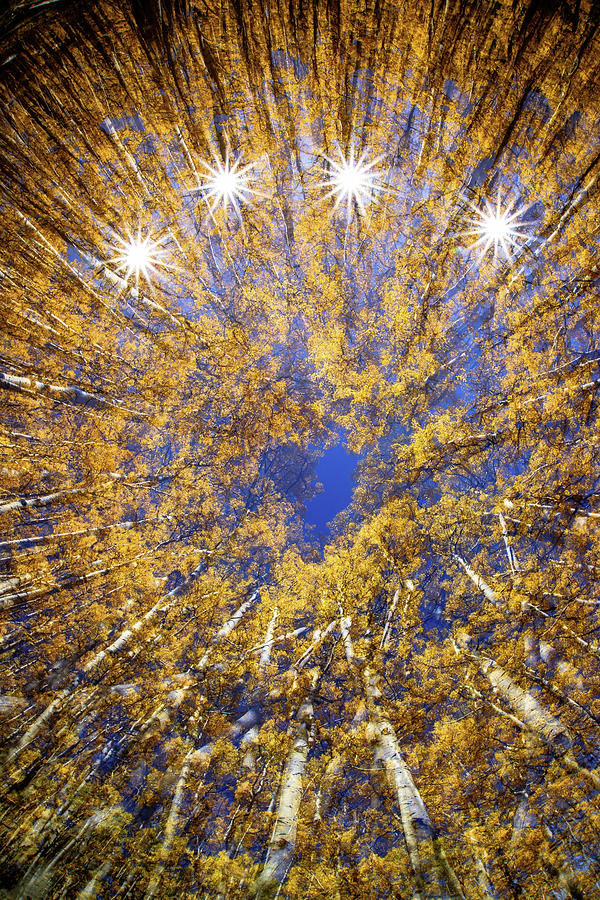 I heart Fall by Rusty Childress I heart Fall by Rusty Childress