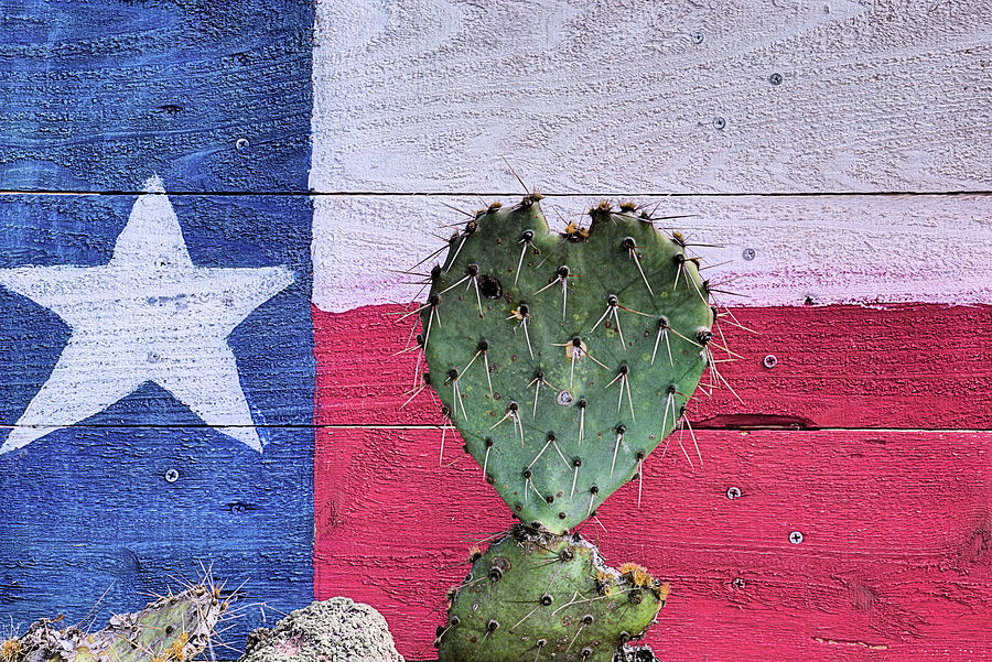 I Heart Texas Photograph by JC Findley