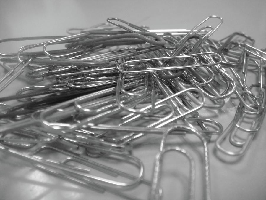 I just need one paper clip Photograph by WaLdEmAr BoRrErO
