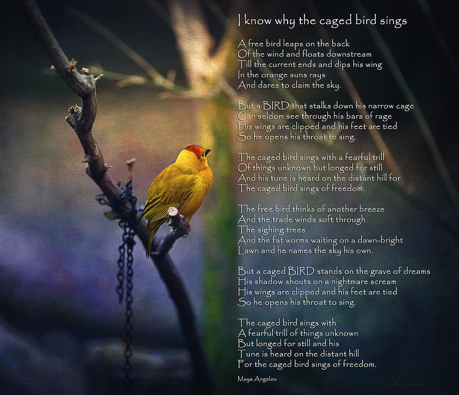 caged bird maya angelou