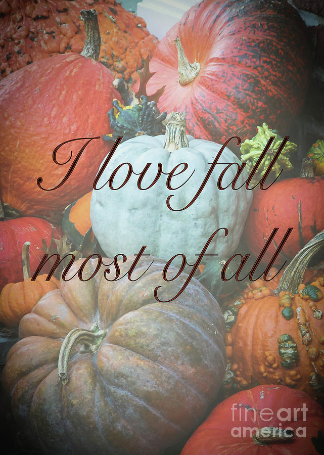I Love Fall Most of All Photograph by Amy Sorvillo