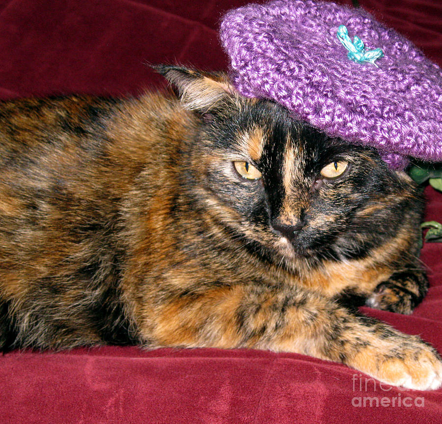 I love hats... Purple Knitted beret  Photograph by Oksana Semenchenko