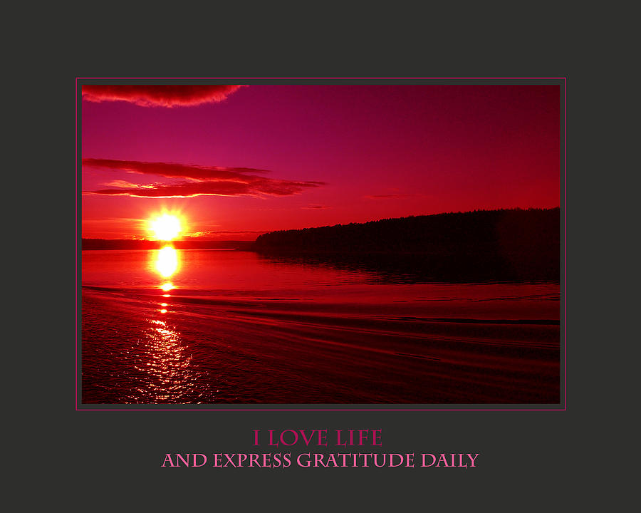 I Love Life And Express Gratitude Daily Photograph by Donna Corless