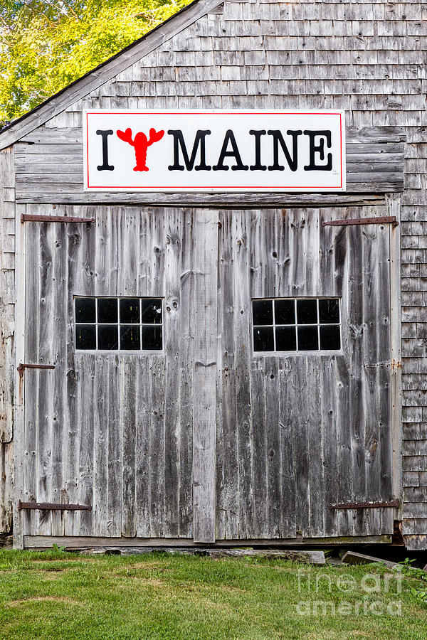 I Love Maine Photograph by Dawna Moore Photography