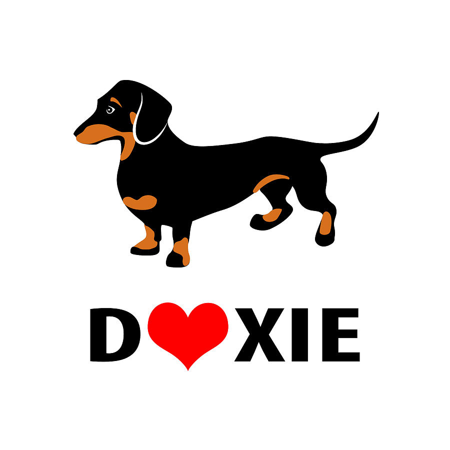 Dog Digital Art - I Love My Doxie by Antique Images  