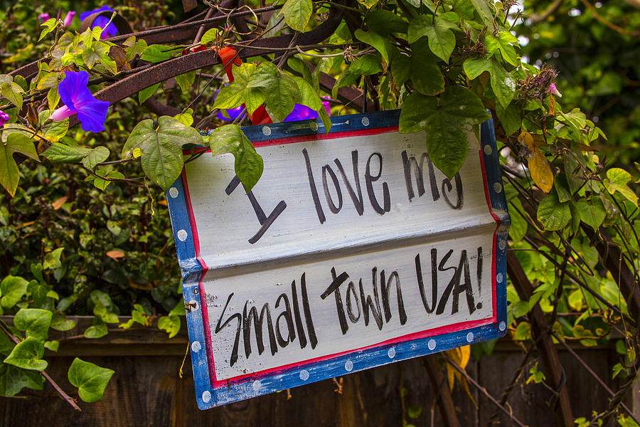 I Love My Small Town Sign Photograph by Garry Gay