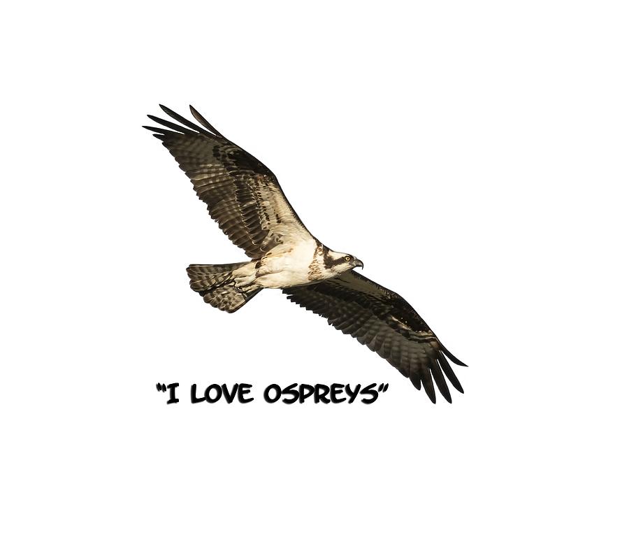 I Love Ospreys 2016-1 Photograph by Thomas Young
