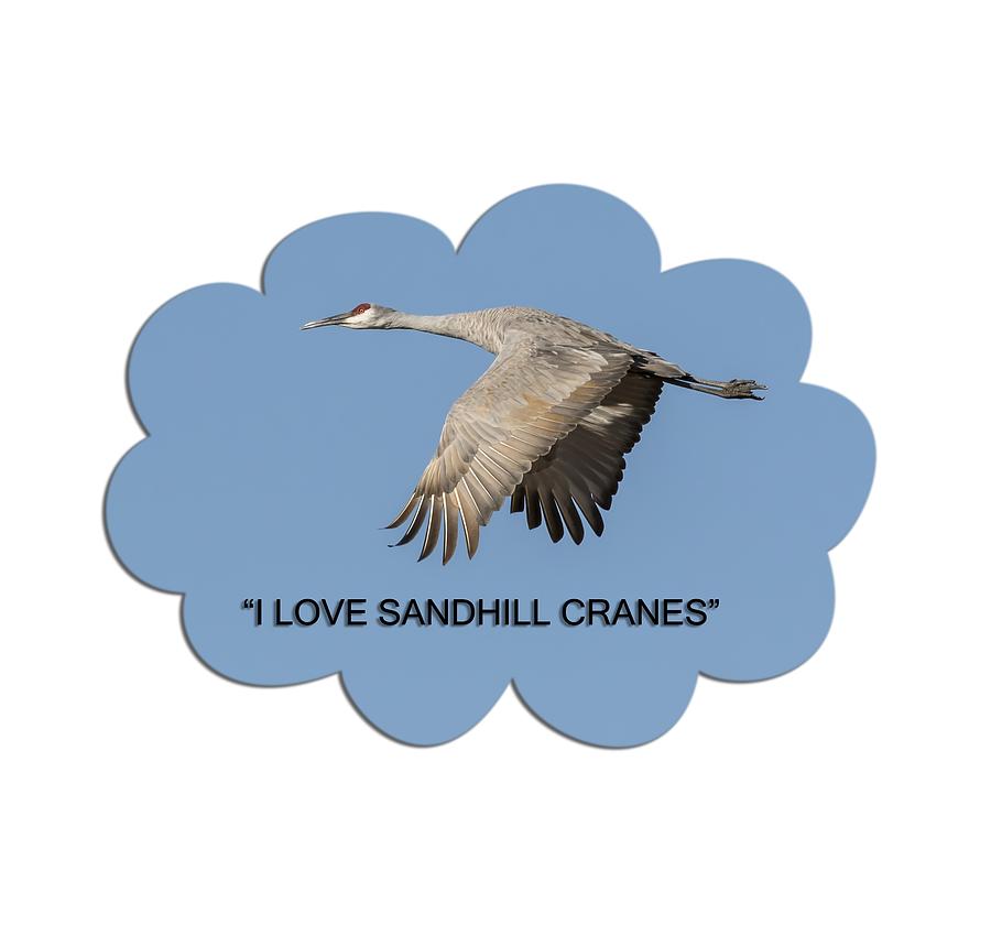 I Love Sandhill Cranes Photograph by Thomas Young