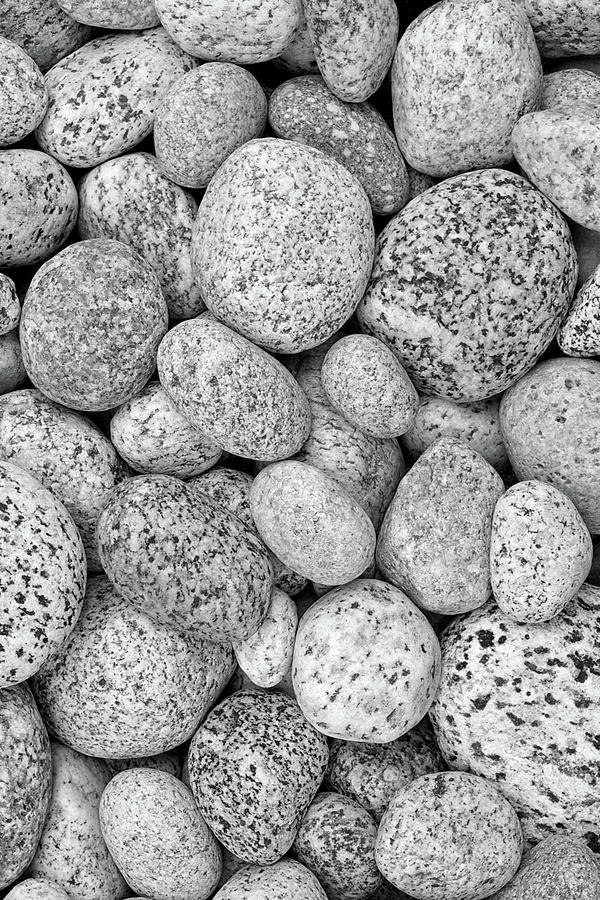 I Love Stones Vertical Black and White Photograph by Kathi Mirto