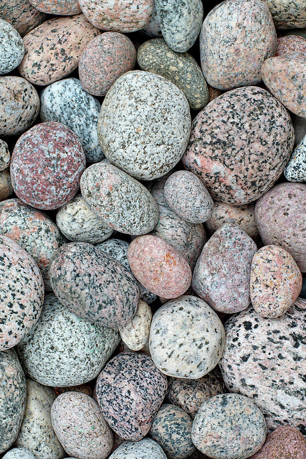 I Love Stones Vertical Photograph by Kathi Mirto