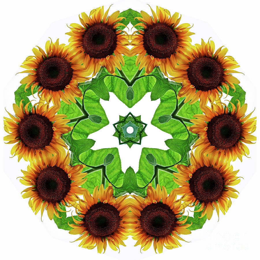 I Love Sunflowers Kaleidoscope Wall Art Digital Art by Carol F Austin