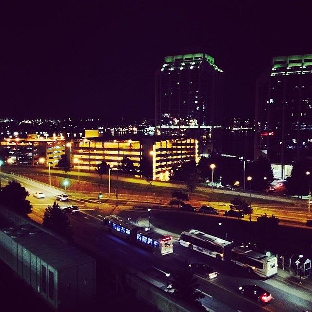 Halifax Photograph - I Love The Nightlife Of The City by Samantha Lewis
