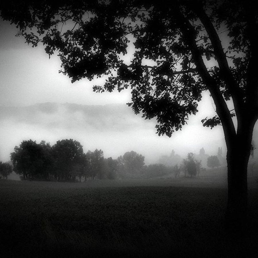 Foggy autumn Photograph by Crinco Lee