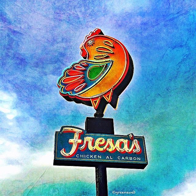 Fresa's Neon Chicken Photograph by Alison Webster - Fine Art America