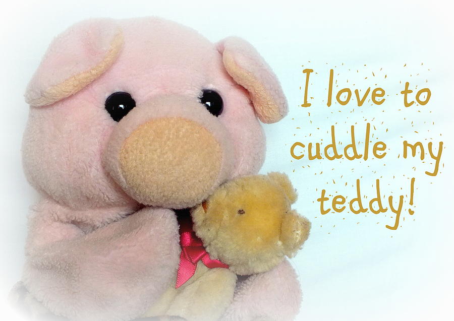 I Love To Cuddle My Teddy Photograph by Piggy           