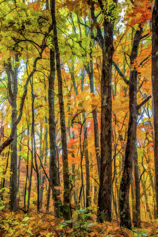 Fall Digital Art - I Love Trees by Lisa Lemmons-Powers