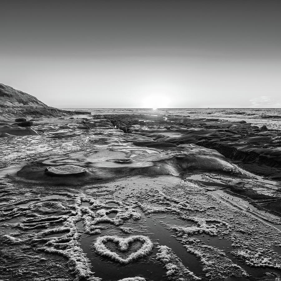 I Love You as BIG as the Ocean Too   False Infrared   Square Photograph by Scott Campbell