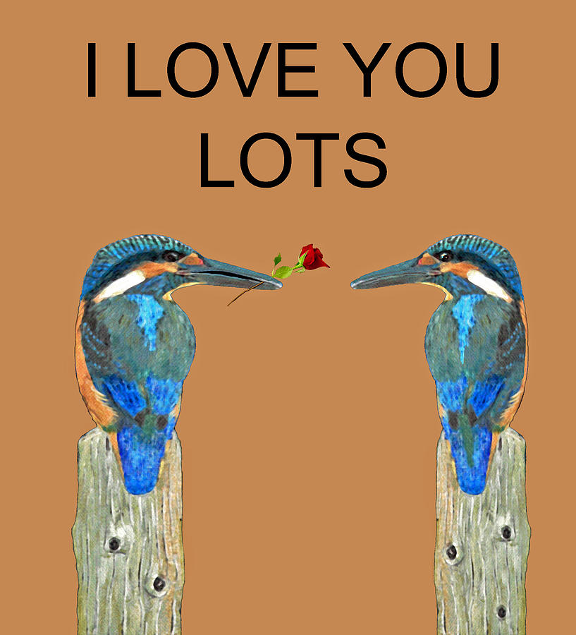 Bird Mixed Media - I Love You Lots kingfishers by Eric Kempson