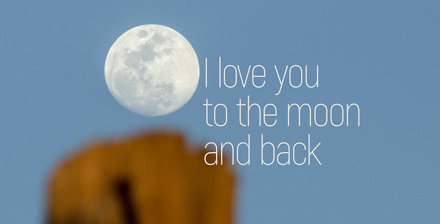 I love you to the moon and back Photograph by Andrea Anderegg
