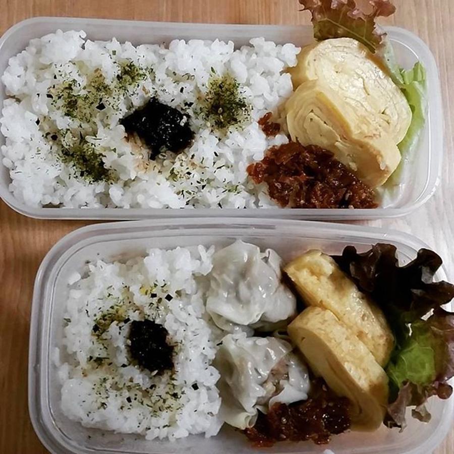 Lunch Photograph - I Made Two Bento Lunch Boxes This by Lady Pumpkin