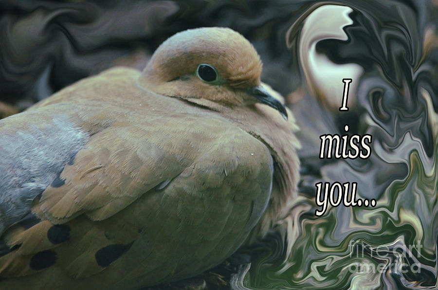 I Miss You Photograph by Debby Pueschel