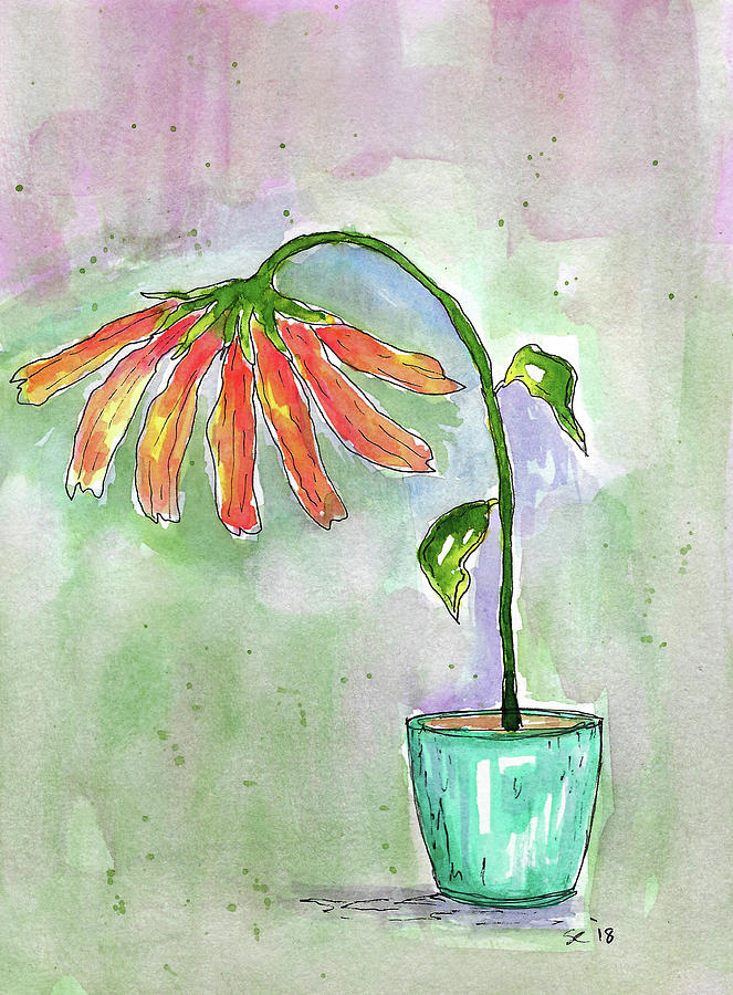 Watercolor And Ink Painting - I Need A Bigger Pot by Susan Campbell Watercolor And Ink Painting - I Need A Bigger Pot by Susan Campbell