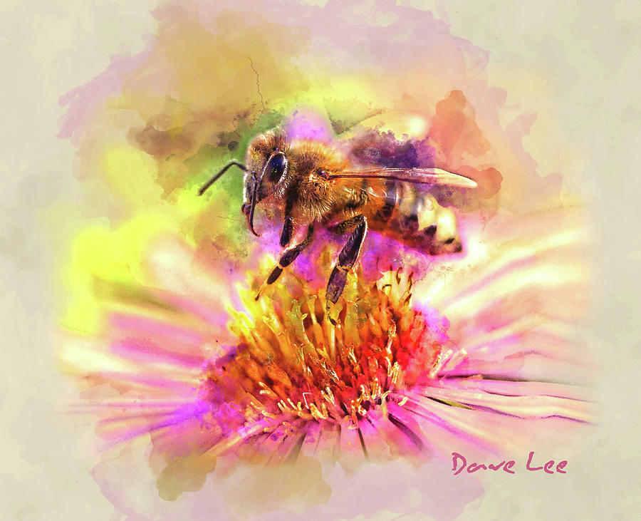 Queen Mixed Media - I Only Have Hives For You by Dave Lee