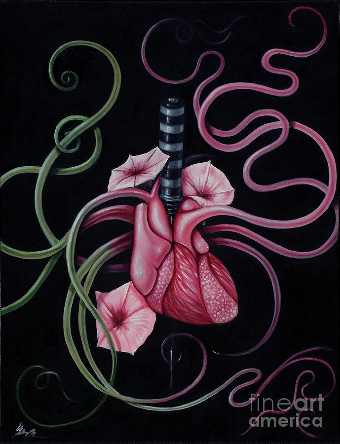I Pick You by Curiobella- Sweet Jenny Lee I Pick You by Curiobella- Sweet Jenny Lee